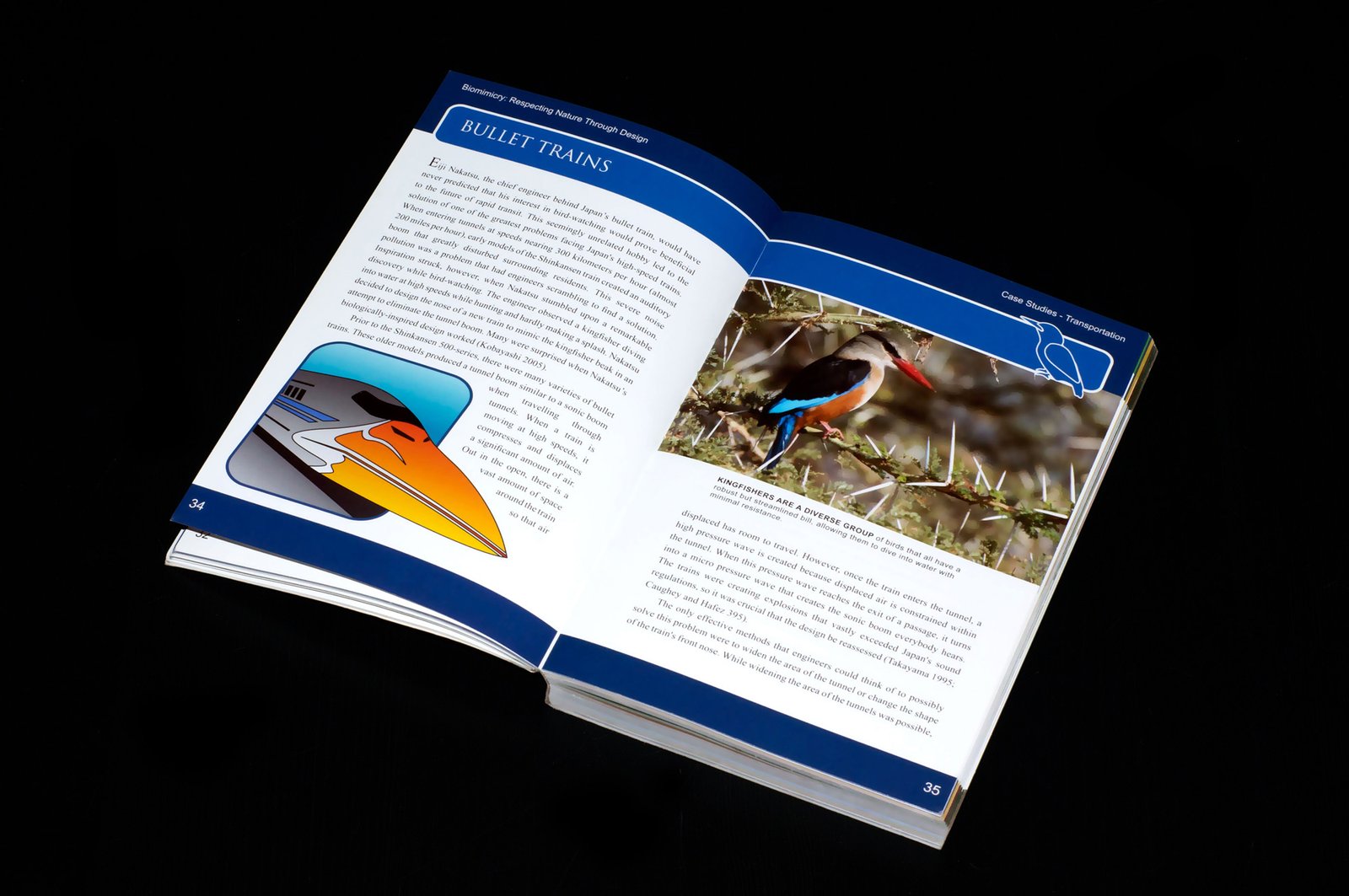 Biomimicry Book - Bullet Train