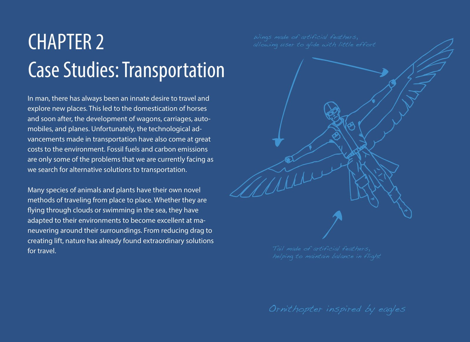 Biomimicry Book - Transportation - eBook Sample