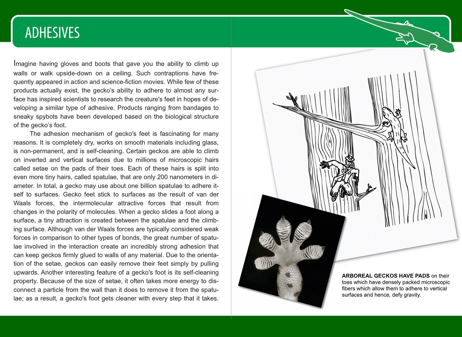 Biomimicry Book - Adhesives - eBook Sample
