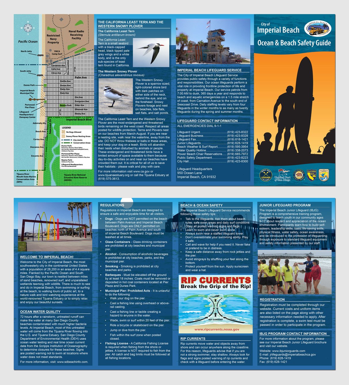 Beach Safety Brochure