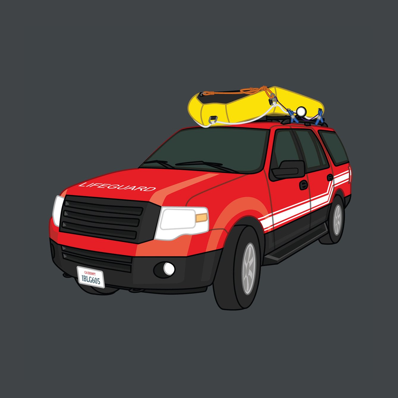 Swiftwater Training Graphics