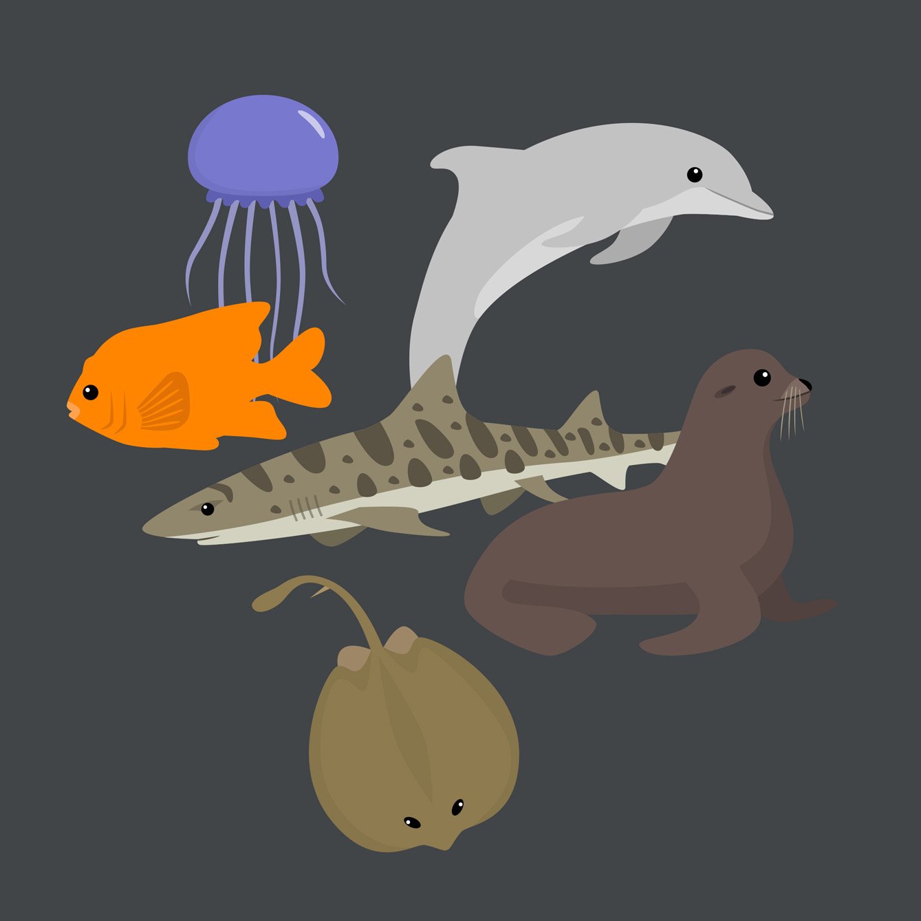 Marine Life - Graphic Artwork