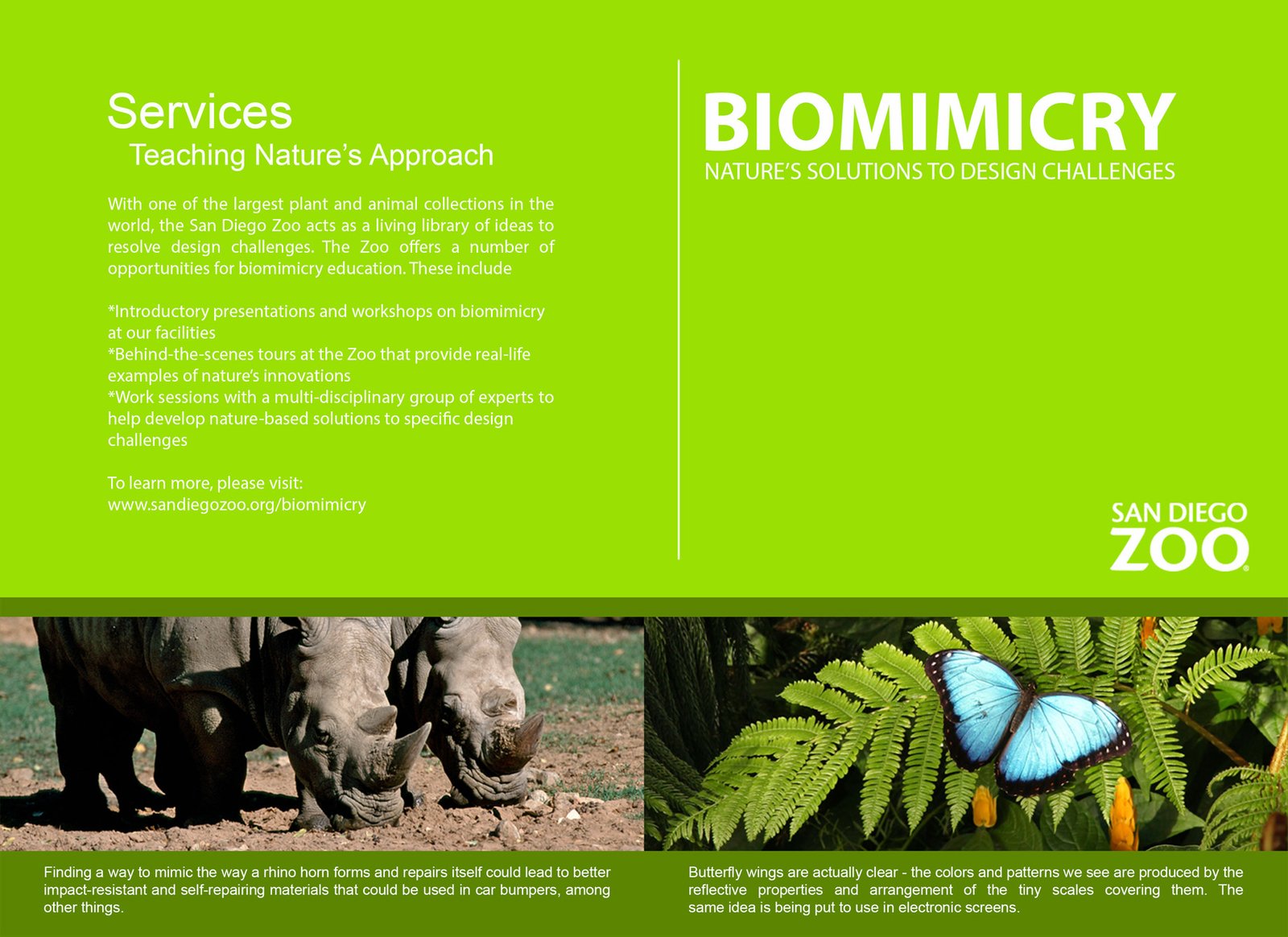 Biomimicry Brochure (Front/Back Pages)