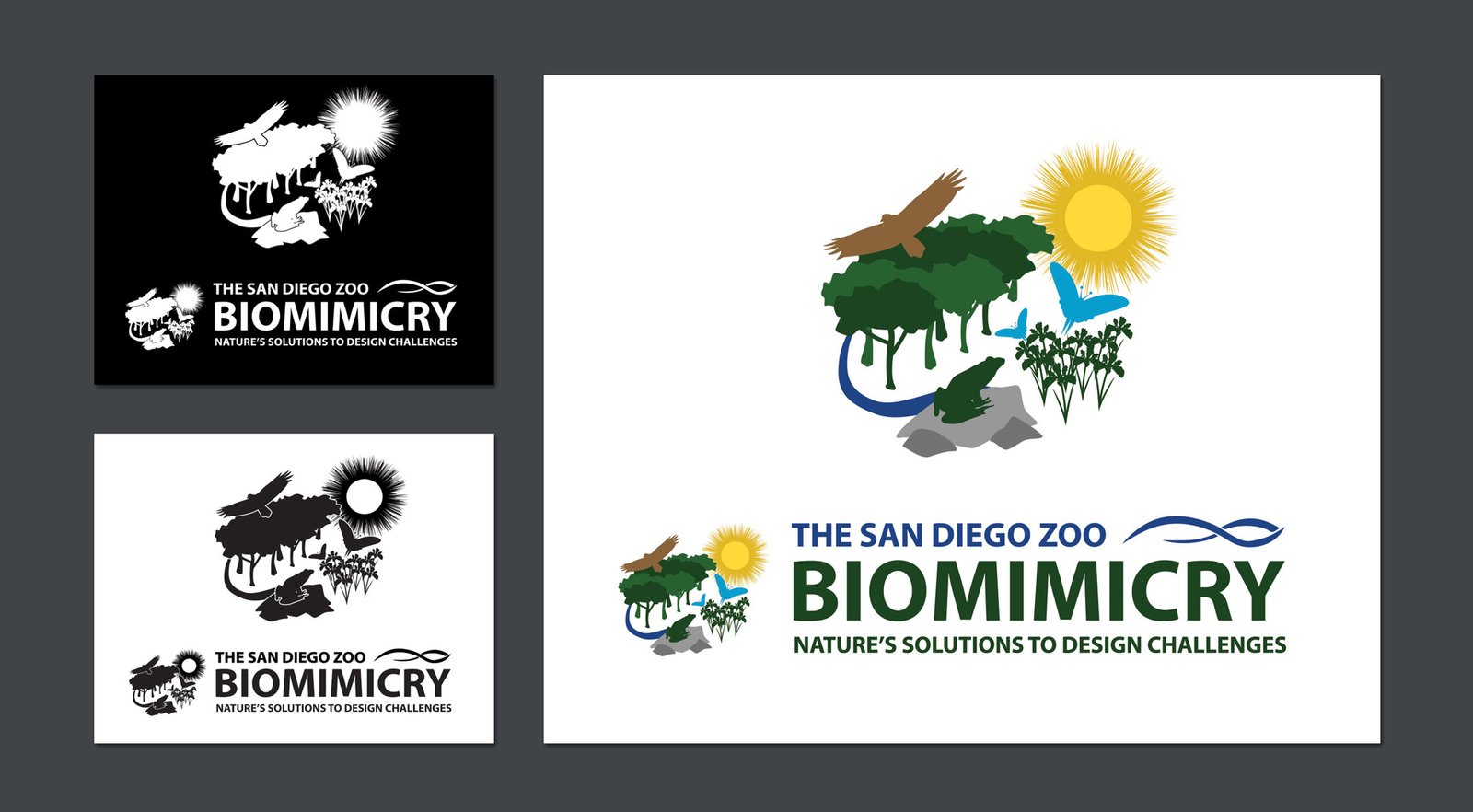 Biomimicry Workshop Flier Logo Styles
