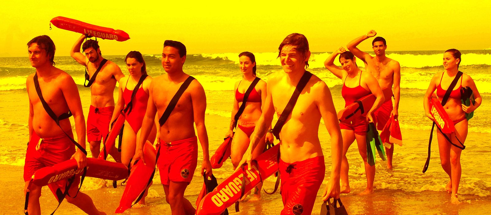 IB Lifeguards Assembled