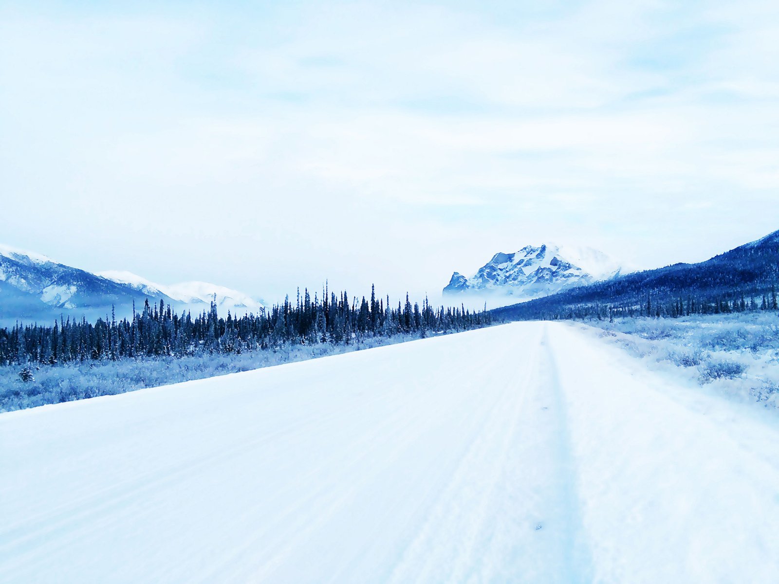 Somewhere in the far north of Alaska.