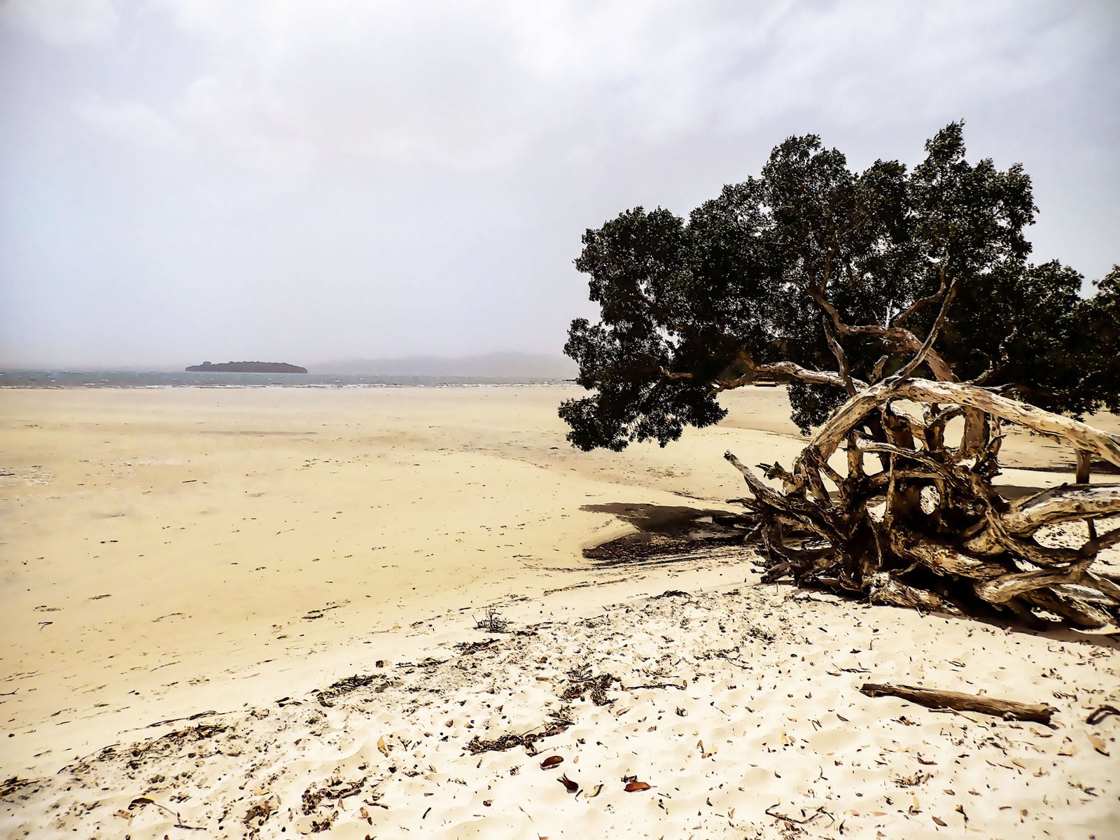 Barren shoreline in New South Wales, Australia.