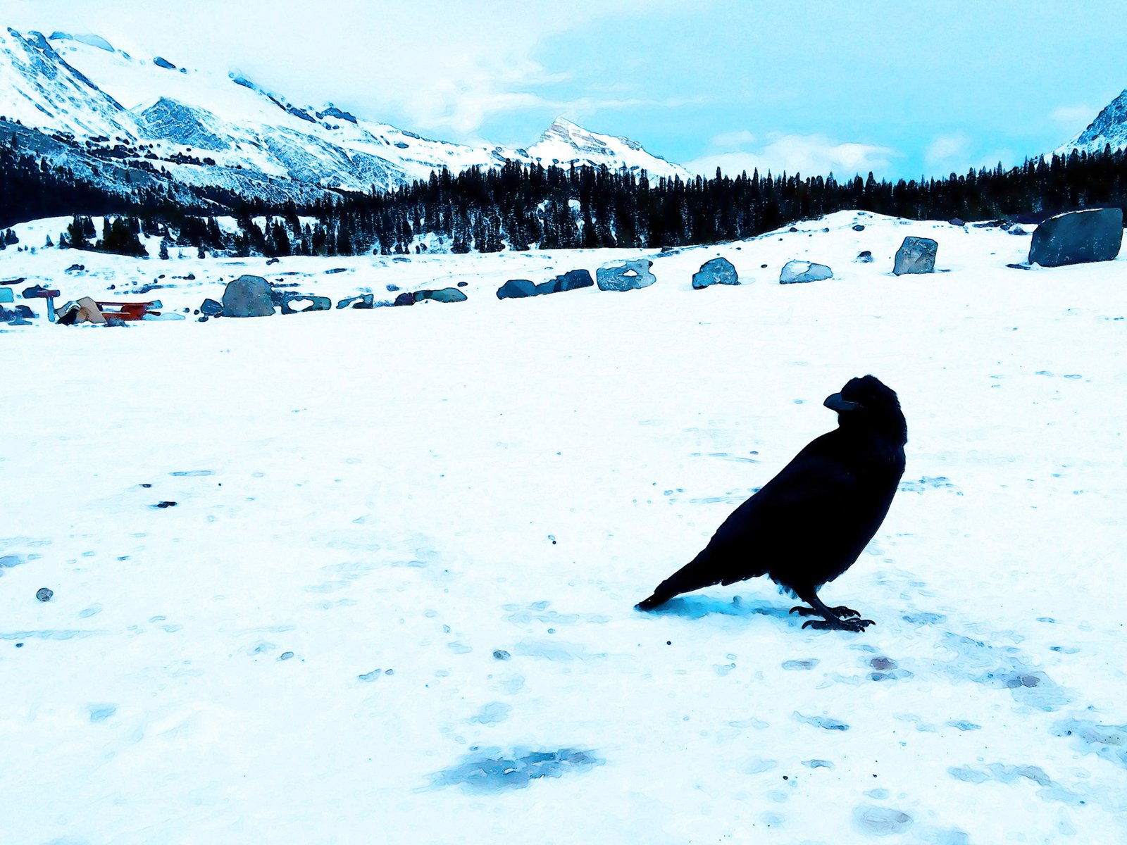 Snowfield in Alberta, Canada.