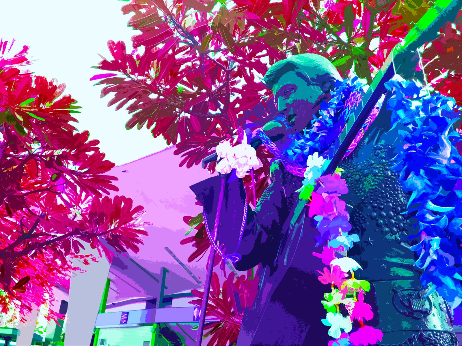 Elvis Presley in Honolulu, Hawaii.