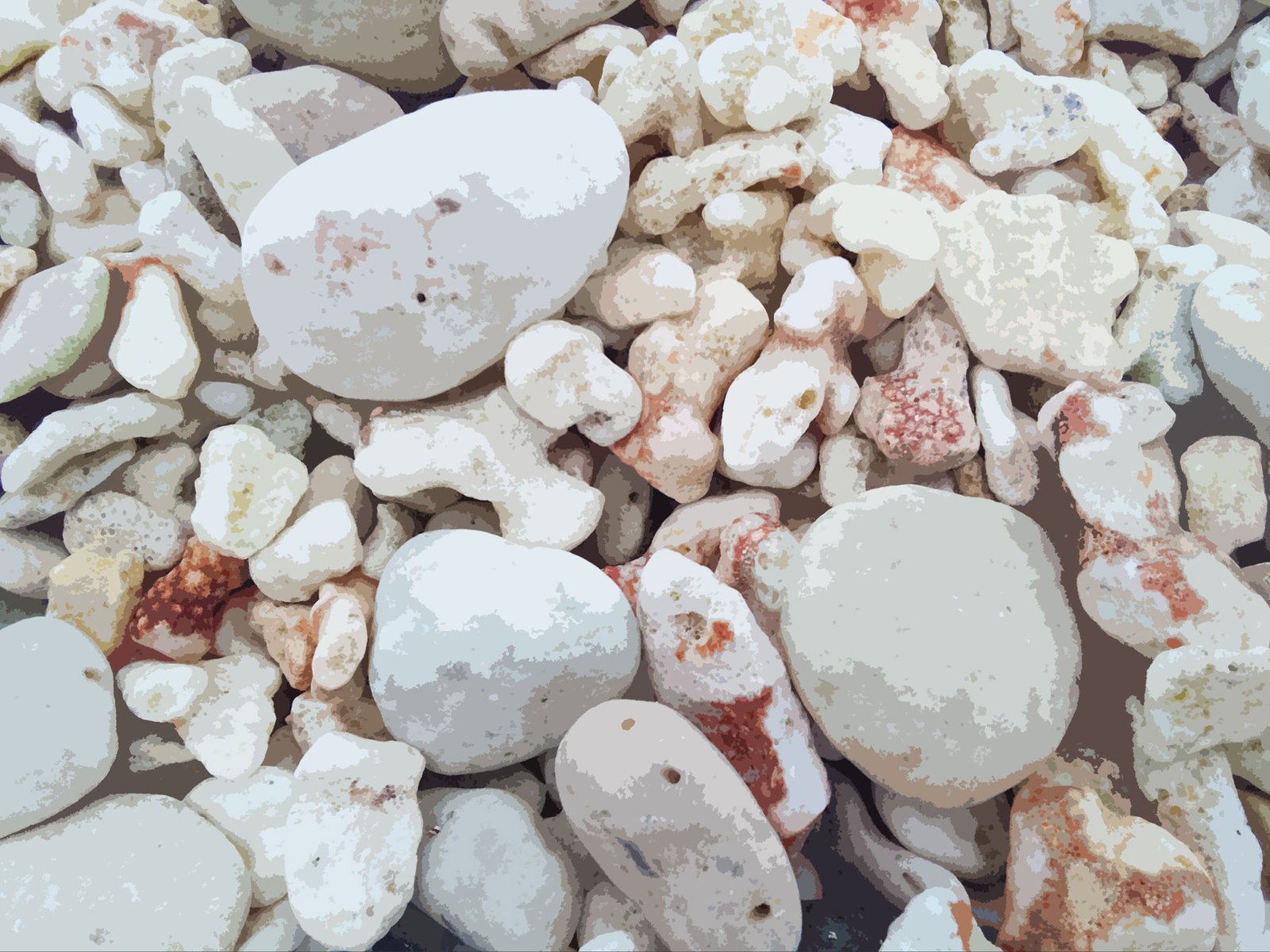 Coral and rocks on the Big Island of Hawaii.
