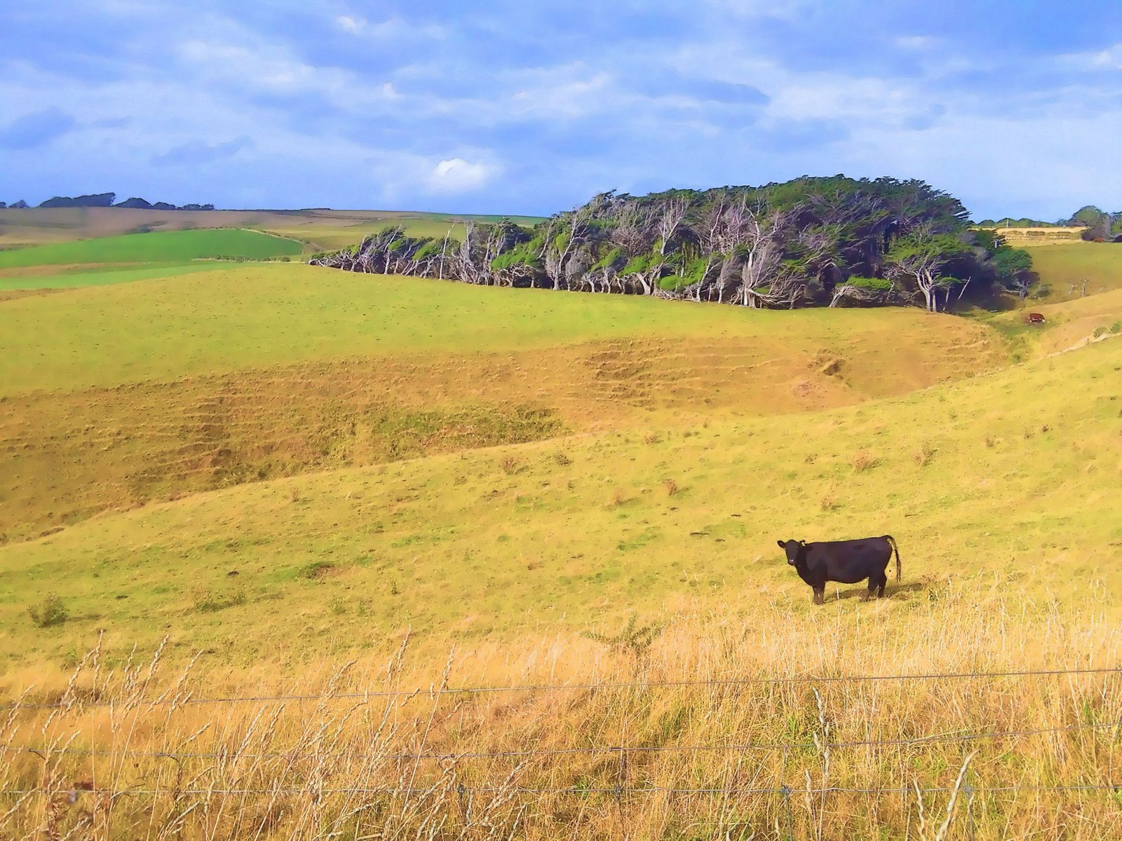 The far south of New Zealand.