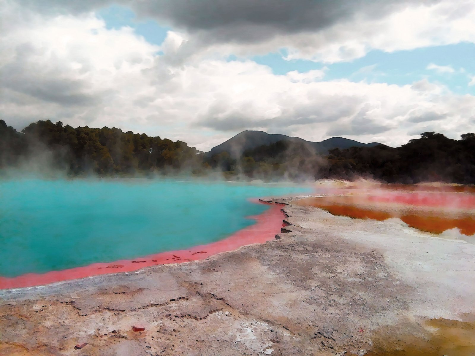 Geothermal Pools in New Zealand.